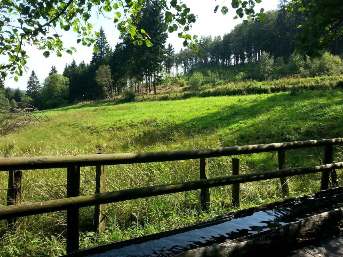 Cosy Apartment Over Usseln With Private Terrace Willingen  Room photo